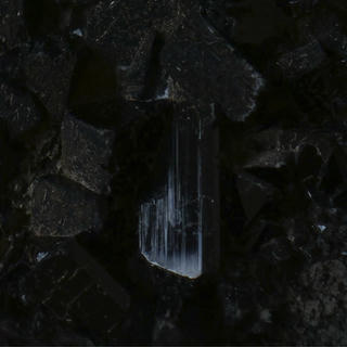 Rumors cover
